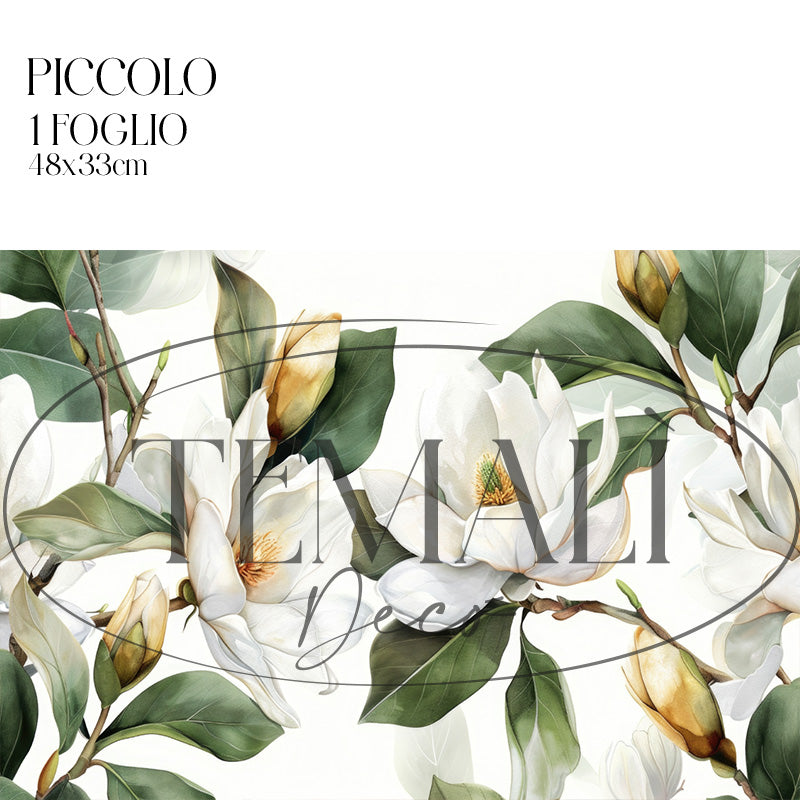 Dècoupage Modern Flora – Fiori bianchi