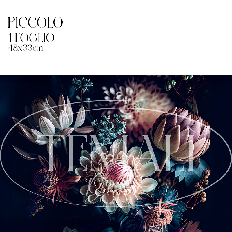 Dècoupage Modern Flora - Zinnie Pastello