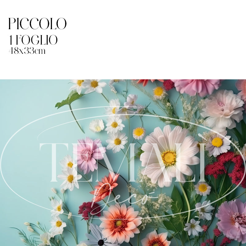 Dècoupage Modern Flora - Fiori di Campo