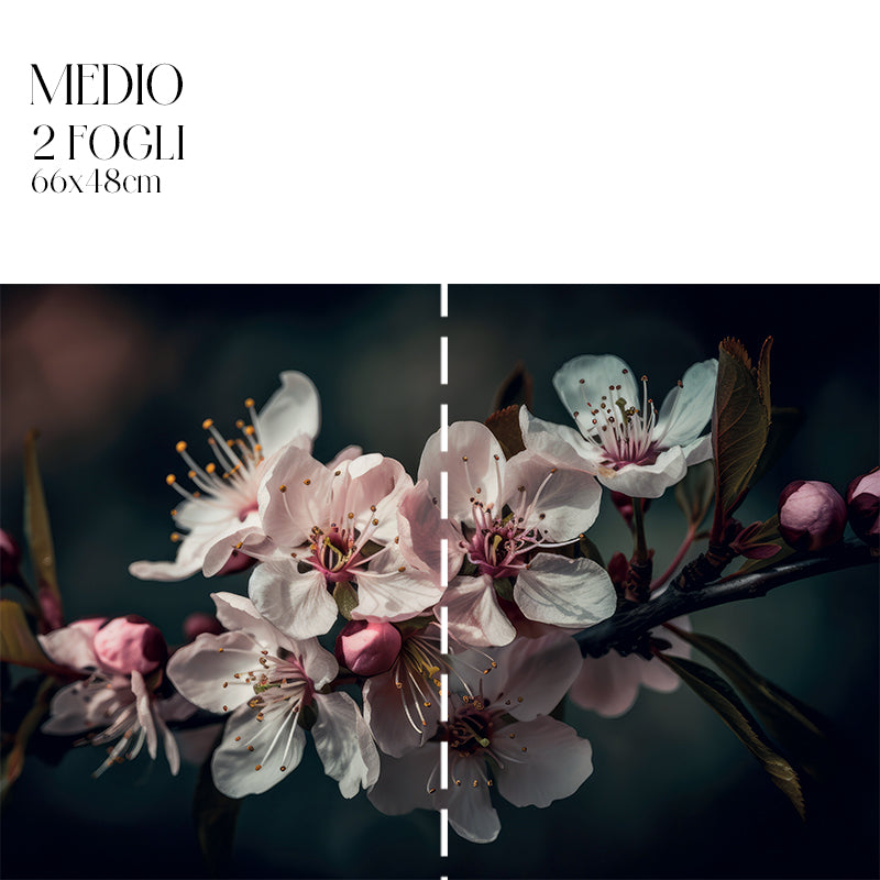 Dècoupage Modern Flora - Fiori di Ciliegio