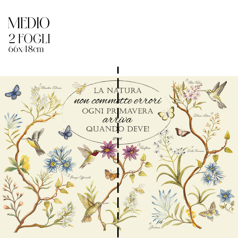 Dècoupage Botanical vintage - Natura in primavera