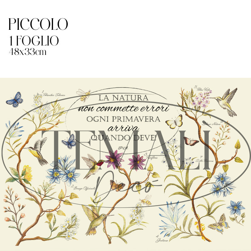 Dècoupage Botanical vintage - Natura in primavera