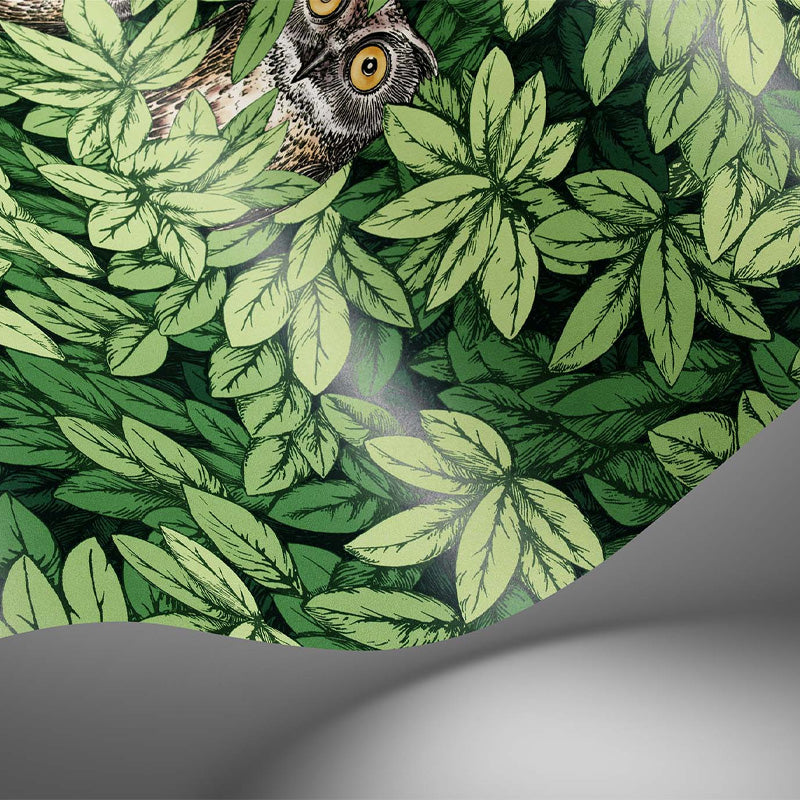 Carta da Parati "FOGLIE E CIVETTE VERDE" Fornasetti | COLE & SON