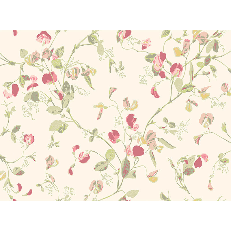 Carta da Parati "SWEET PEA Archive Anthology Coral & Olive on Cream" Botanical | COLE & SON
