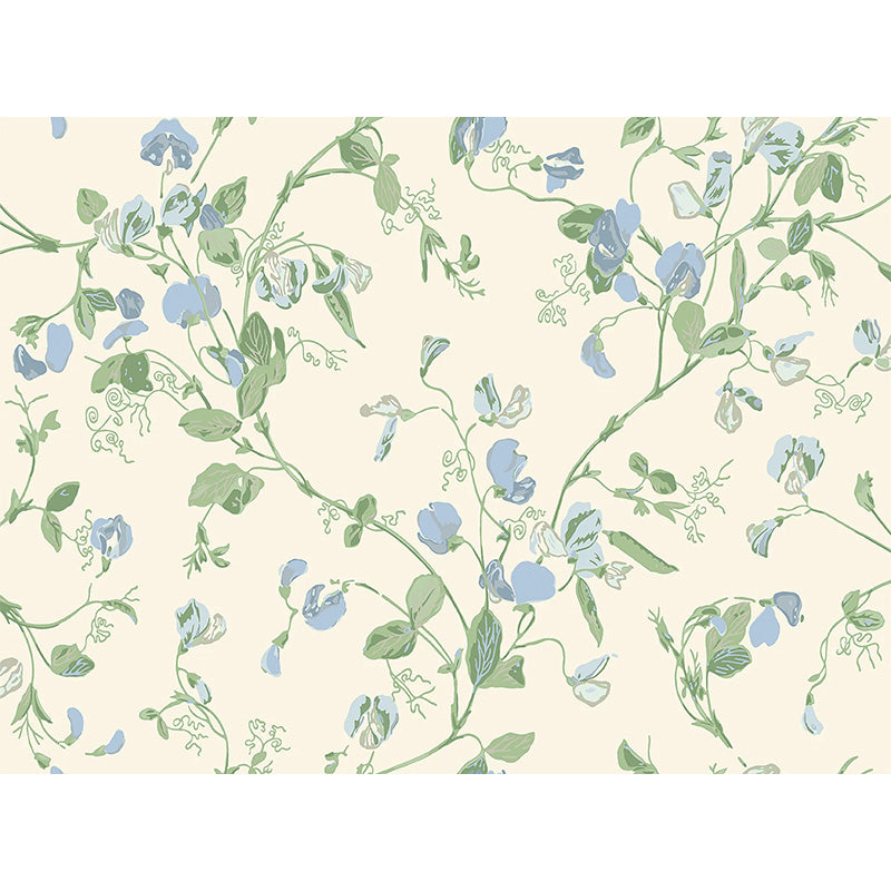 Carta da Parati "SWEET PEA Archive Anthology Mulberry & Sage on Cream" Botanical | COLE & SON