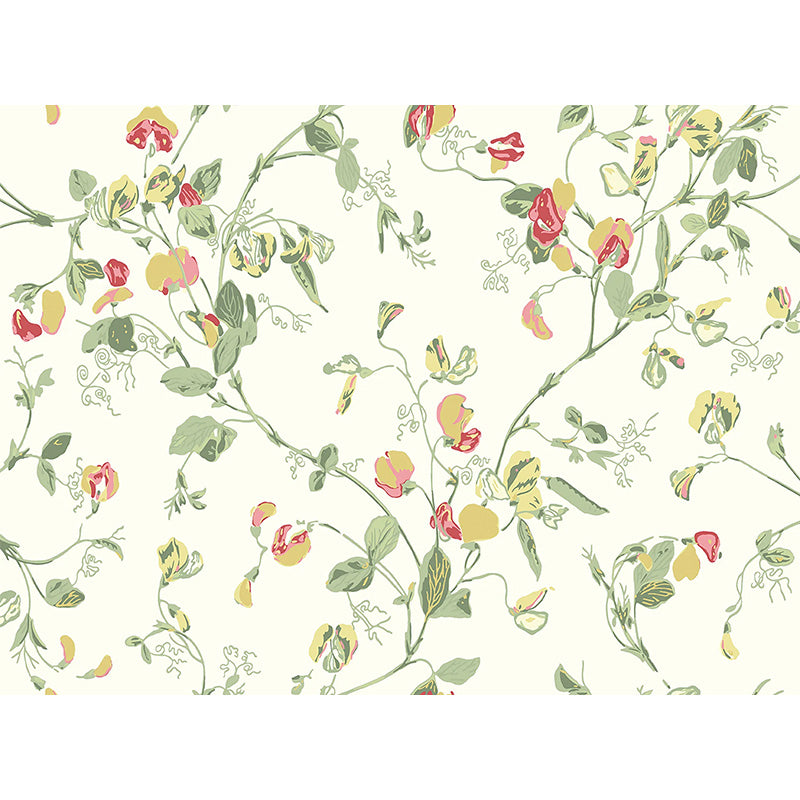 Carta da Parati "SWEET PEA Archive Anthology Yellow & Coral on Cream" Botanical | COLE & SON
