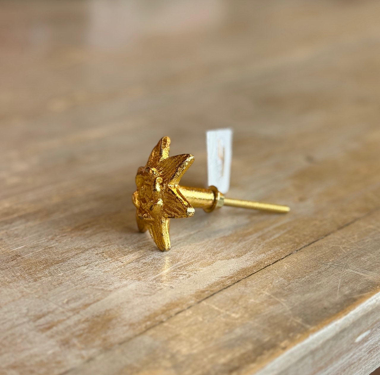 Pomello in Ferro "Stella alpina dorata"