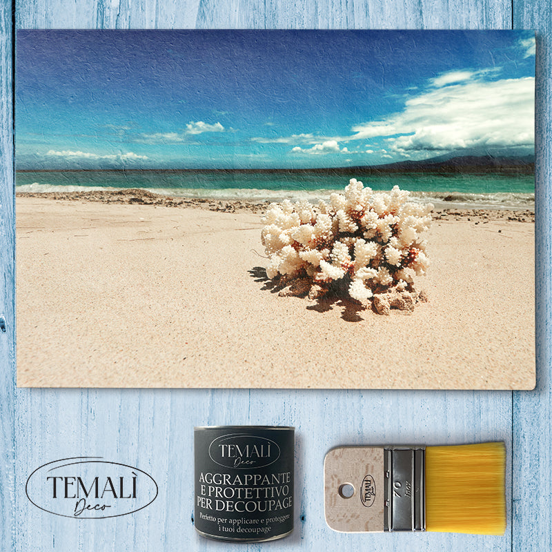 Découpage Mare - Corallo d'Indonesia