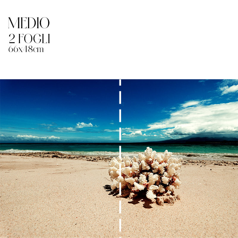 Découpage Mare - Corallo d'Indonesia