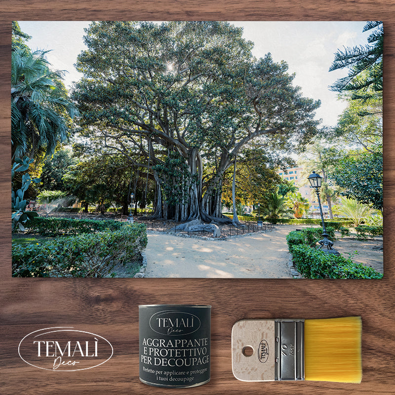 Decoupagé Natura - L'albero Secolare