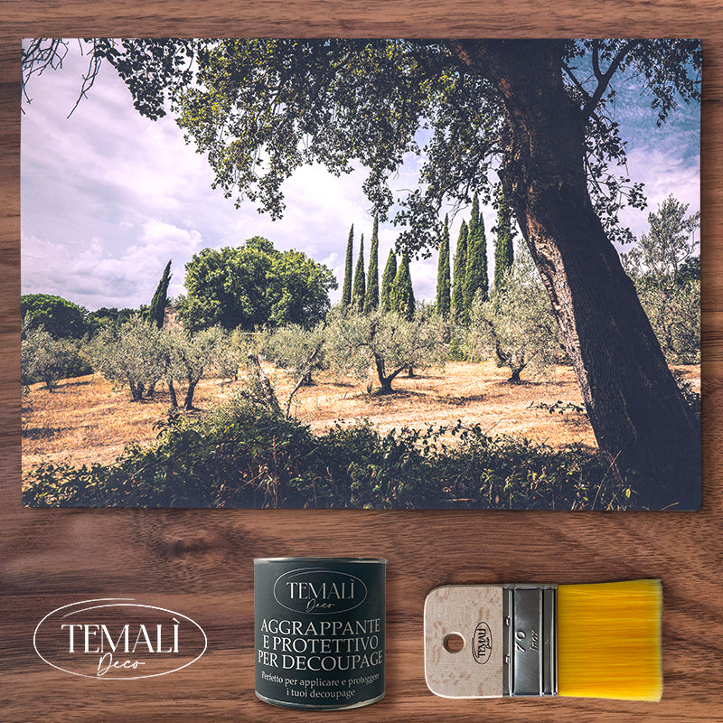 Découpage Natura - Ulivi e Cipressi