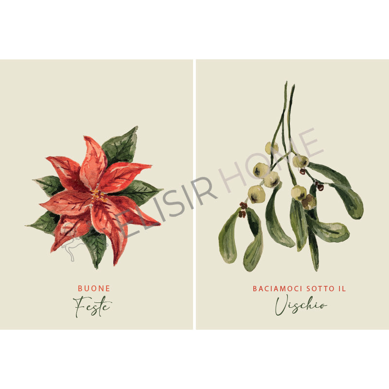 Stampa Trasferibile "NATALE, Stella e Vischio" 28x40 cm
