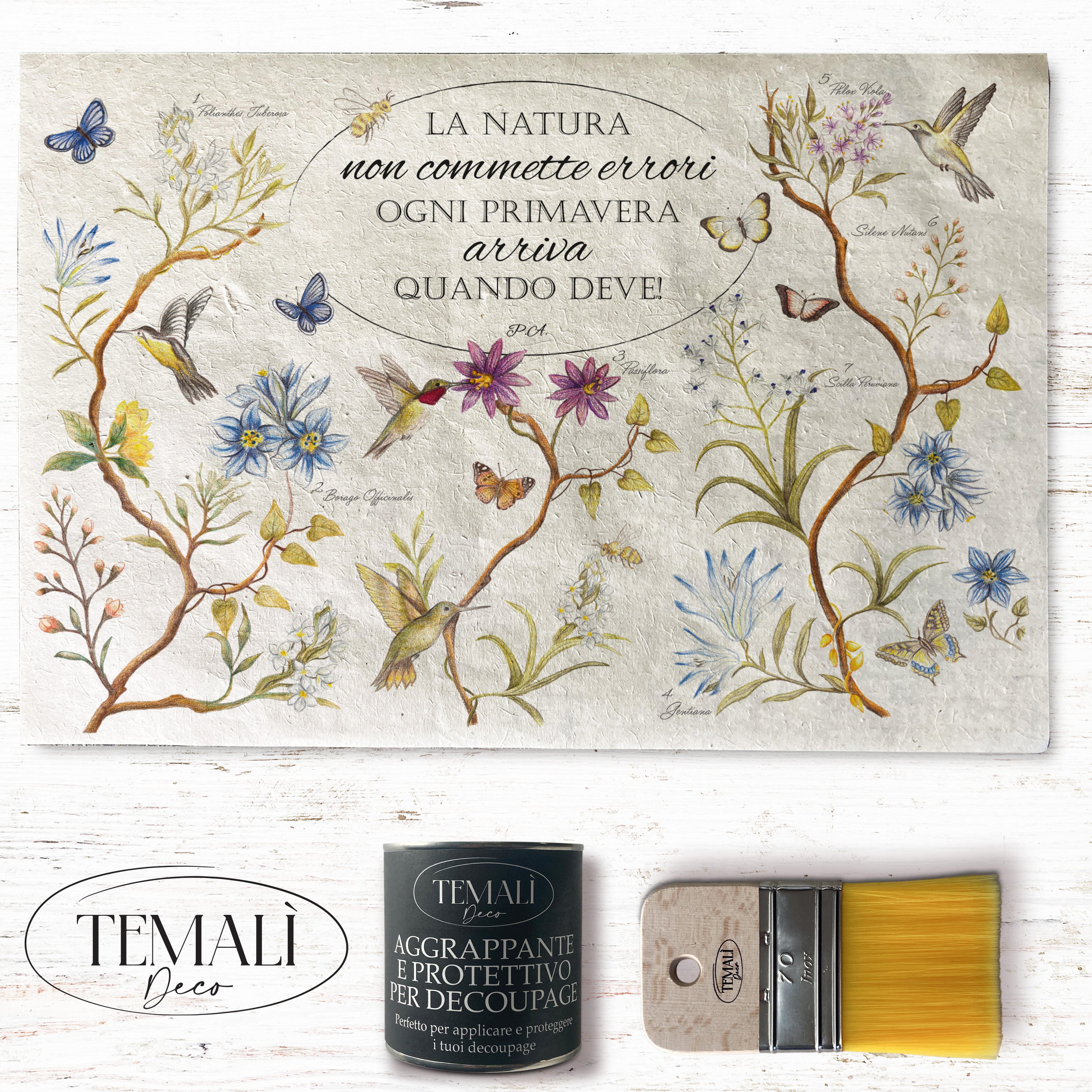 Dècoupage Botanical vintage - Natura in primavera