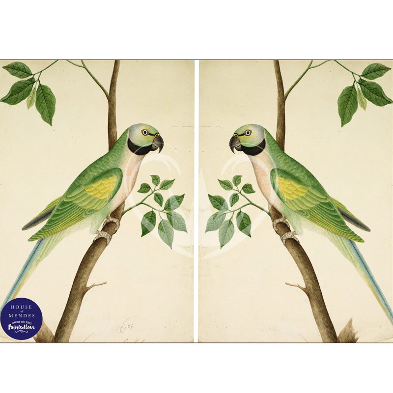 Carta da Découpage "Exotic Parakeets" in Carta di Riso Posh chalk 60x84cm