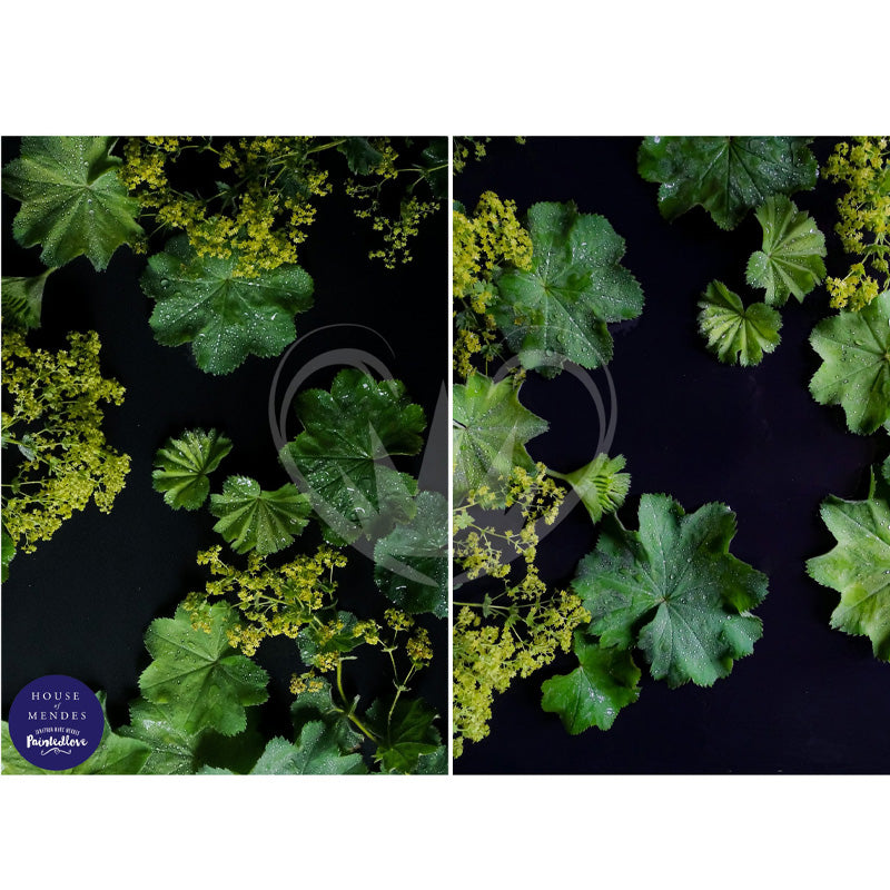 Carta da Découpage "Dark Mollis" in Carta di Riso Posh chalk 60x84cm