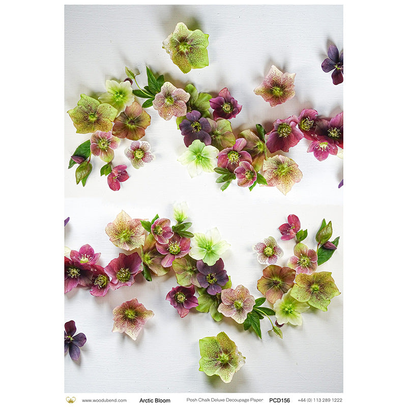Carta da Découpage "Arctic Bloom" in Carta di Riso Posh chalk 28,5x40cm