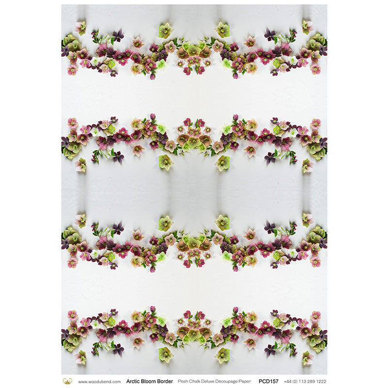 Carta da Découpage "Arctic Bloom Border" in Carta di Riso Posh chalk 58x81cm