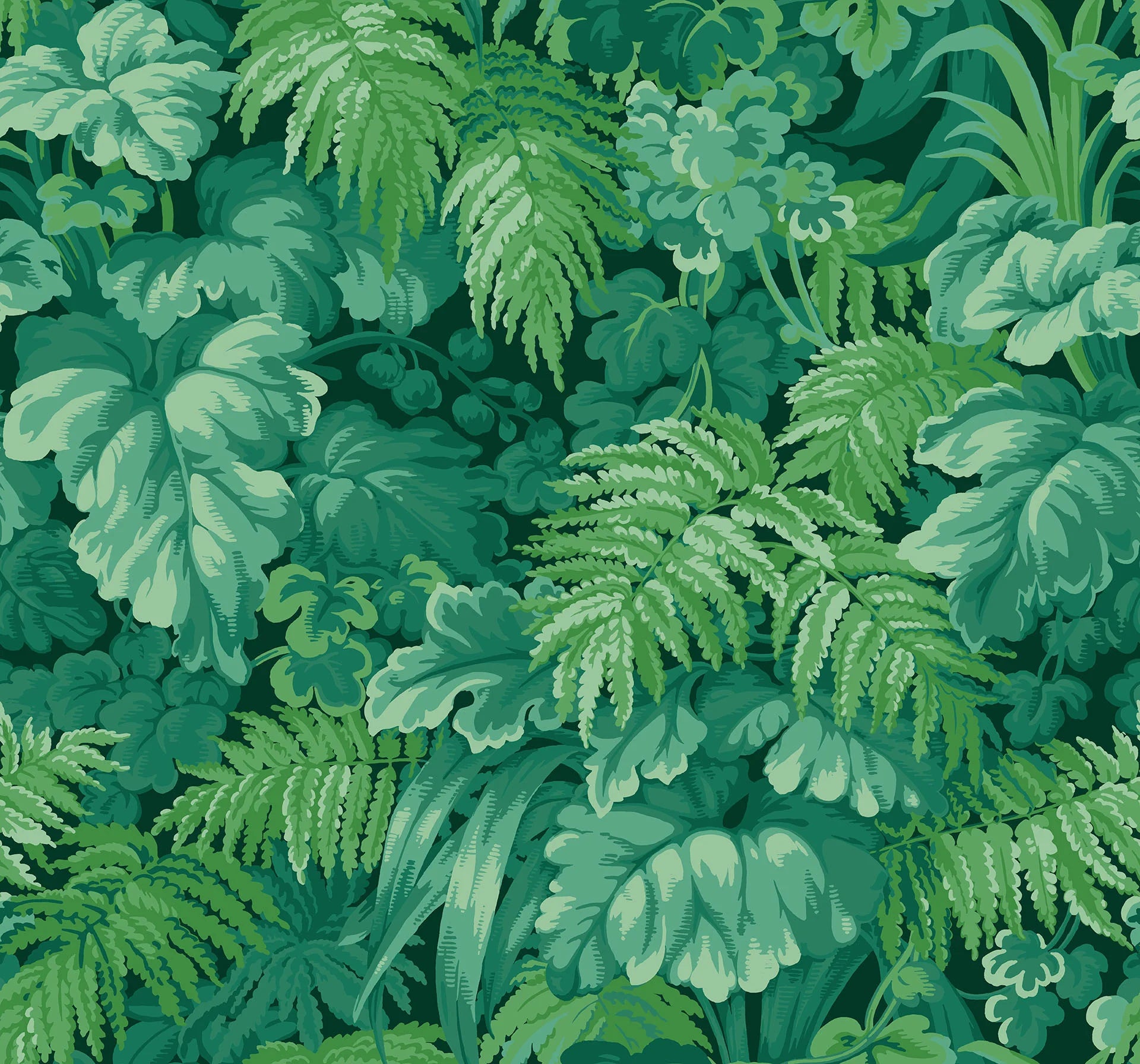 Carta da Parati "MARTYN LAWRENCE BULLARD" Royal Fernery verde acceso | COLE & SON