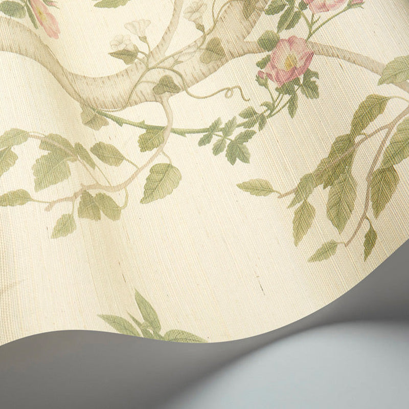 Carta da Parati "SEASONAL WOODS Grasscloth" The Garden | COLE & SON
