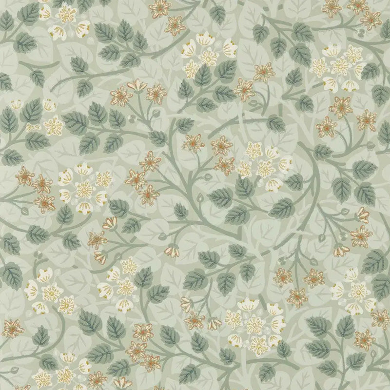 Carta da parati "Silver Lime Verde" - Highgrove - SANDERSON