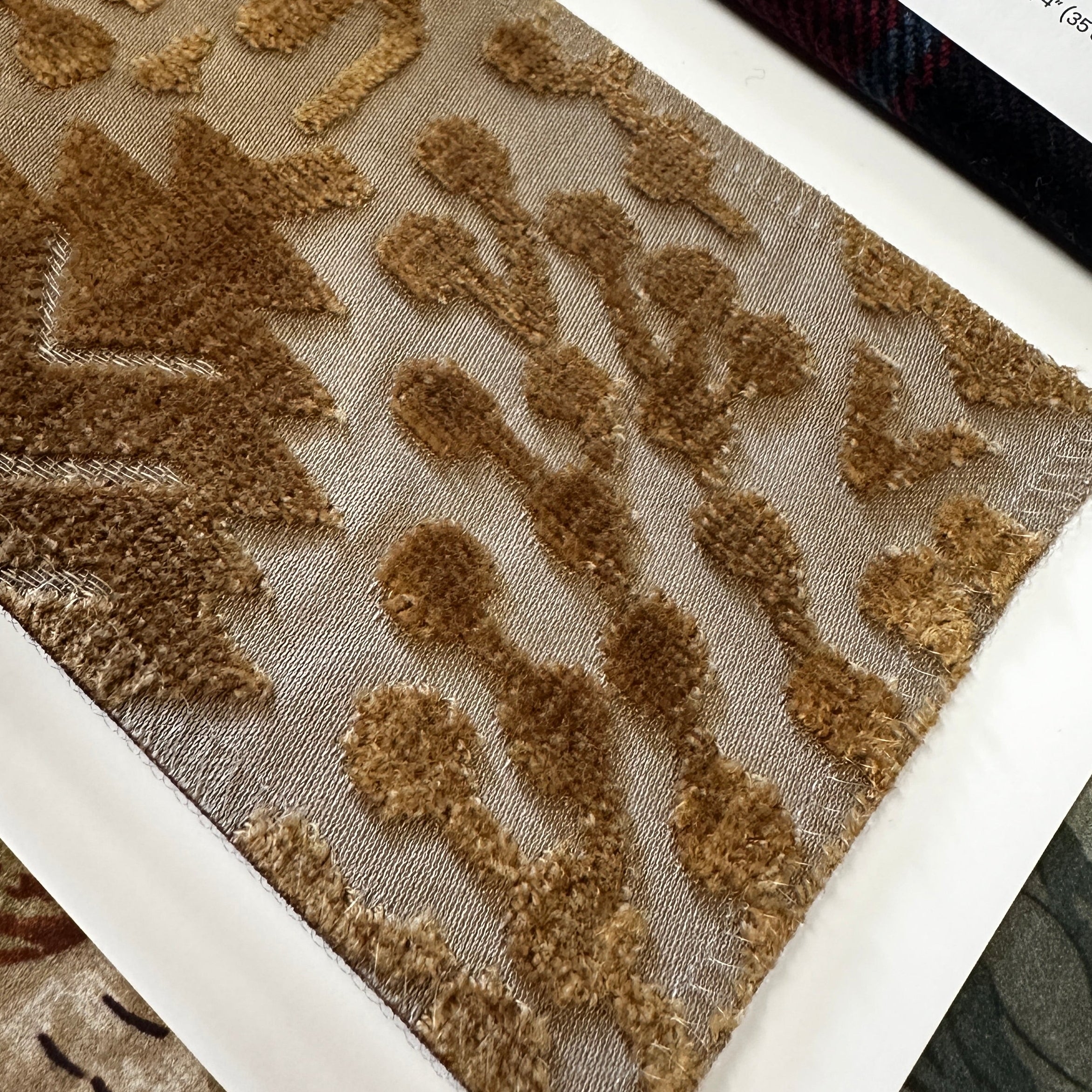 TESSUTO "Azulejo Jacquard Crema y Avena" - Lo Contemporáneo - Cole & Son