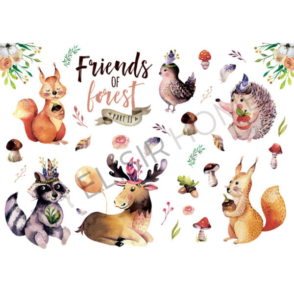 Stampa Trasferibile "BABY, FRIEND OF FOREST" 28x40 cm