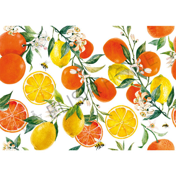 Stampa Trasferibile "FANTASIA, AGRUMI" 28x40 cm