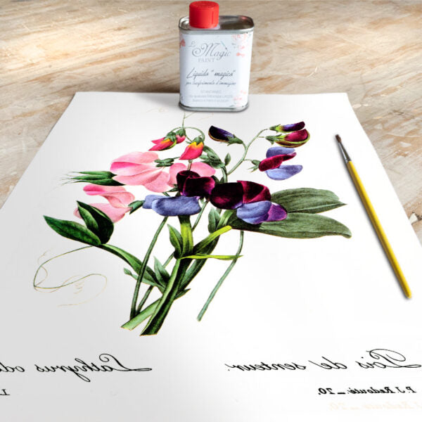 Stampa Trasferibile “BOTANICA, BOUQUET” 28×40 cm