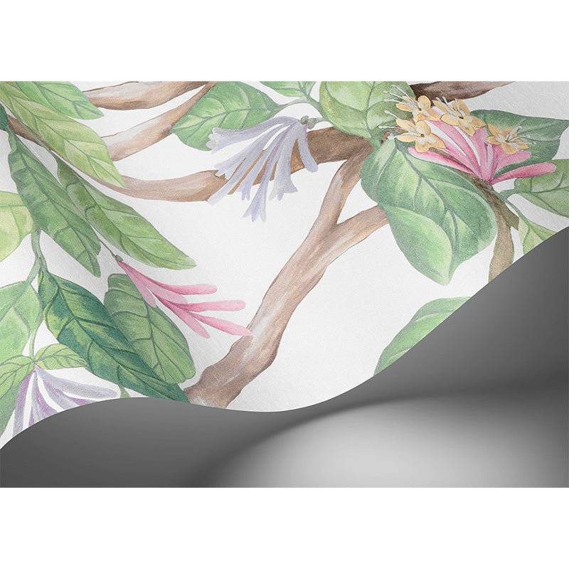 Carta da Parati "Hummingbirds Flora Blush, Sage, & Mulberry on Cream" Selection of Hummingbirds | COLE & SON