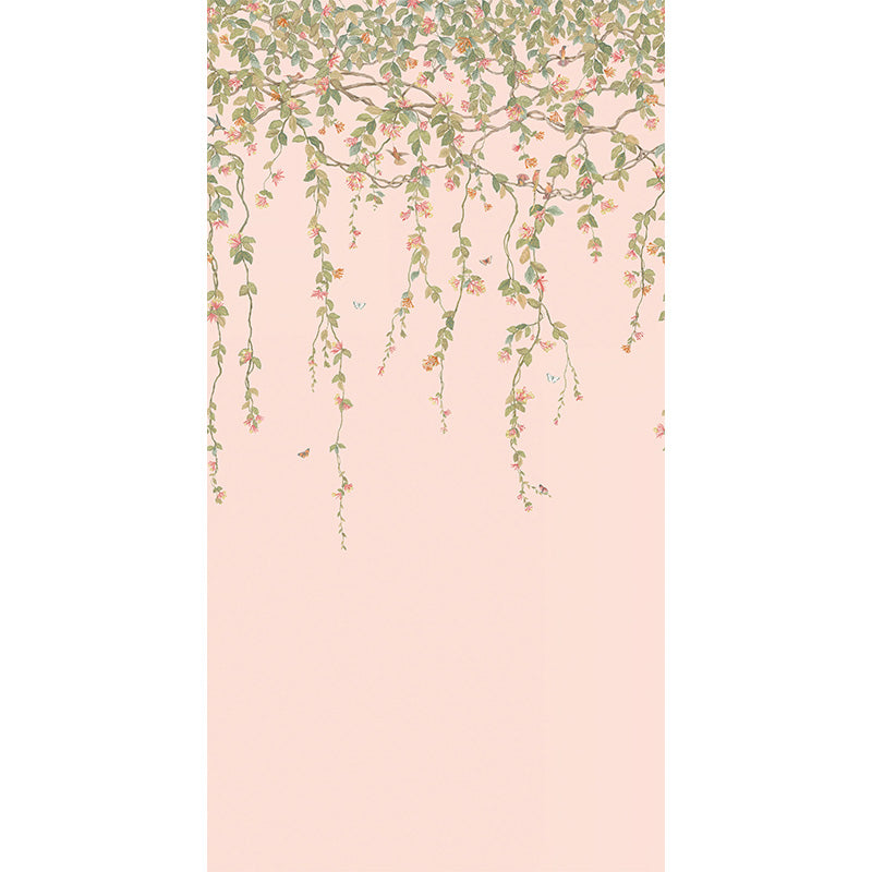 Carta da Parati "Hummingbirds Flora Tangerine & Olive on Blush" Selection of Hummingbirds | COLE & SON