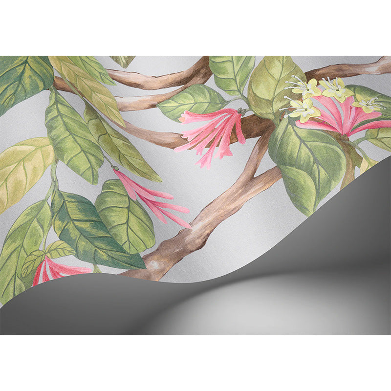 Carta da Parati "Hummingbirds Flora Rose & Olive on Grey" Selection of Hummingbirds | COLE & SON