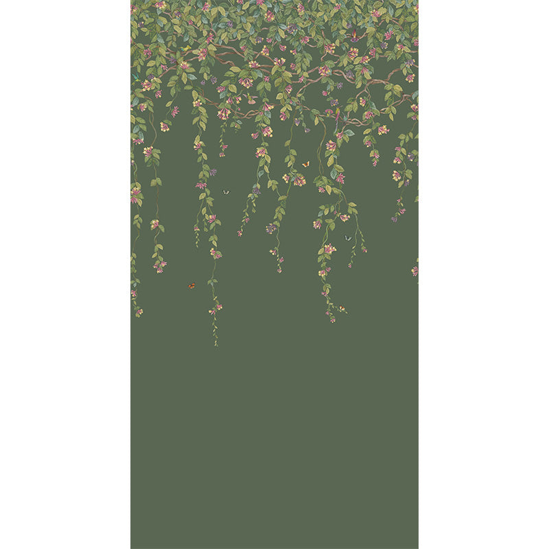 Carta da Parati "Hummingbirds Flora Fuchsia on Racing Green" Selection of Hummingbirds | COLE & SON