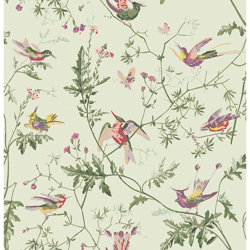 Carta da Parati "Hummingbirds Multi, Old Olive on Eau Du Nil" Selection of Hummingbirds | COLE & SON