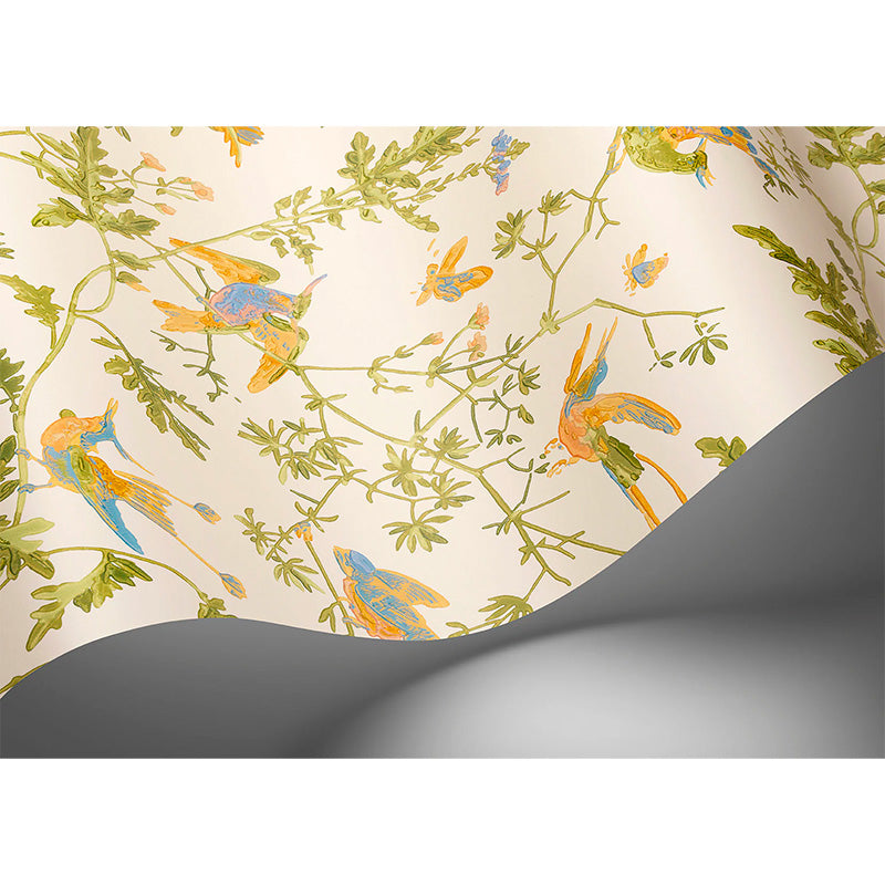 Carta da Parati "Hummingbirds Tangerine & Olive on Blush" Selection of Hummingbirds | COLE & SON