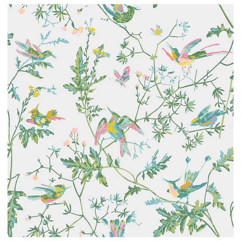 Carta da Parati "Hummingbirds Green & Pink" Selection of Hummingbirds | COLE & SON