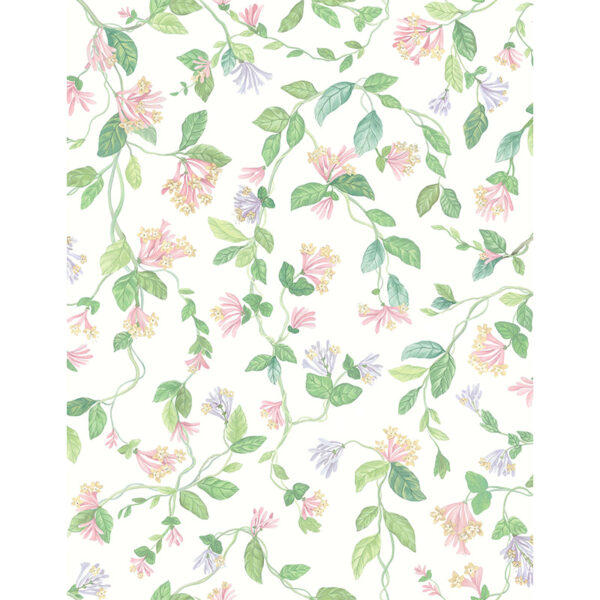 Carta da Parati "Flora Blush, Sage, & Mulberry on Cream" Selection of Hummingbirds | COLE & SON