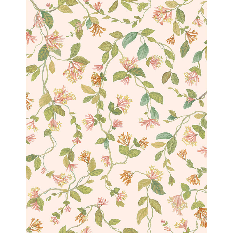 Carta da Parati "Flora Tangerine & Olive on Blush" Selection of Hummingbirds | COLE & SON