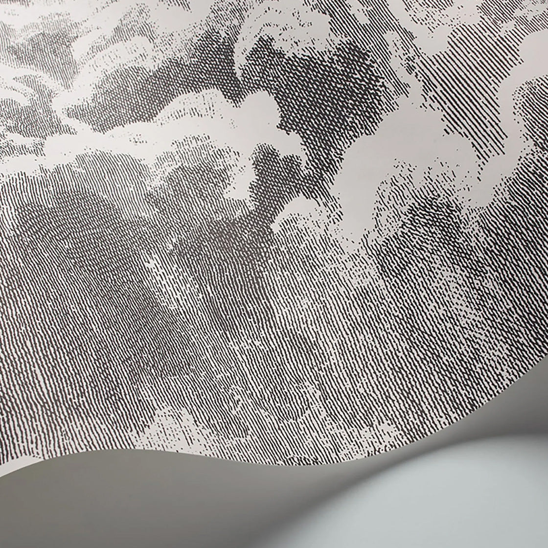 Carta da Parati “NUVOLETTE” Fornasetti | COLE & SON