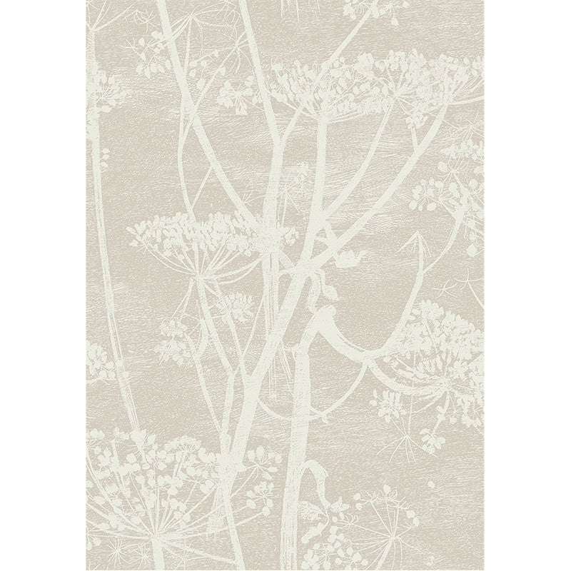 Carta da Parati "COW PARSLEY BIANCO & BEIGE" The Contemporary | COLE & SON