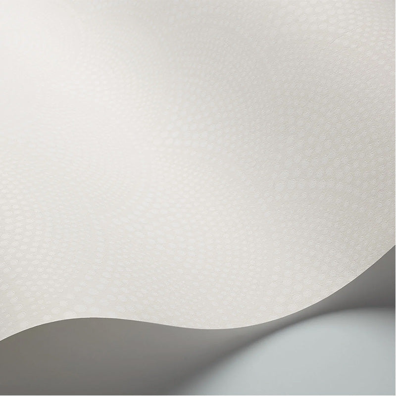 Carta da Parati "FEATHER FAN BIANCO & AVORIO" The Contemporary | COLE & SON