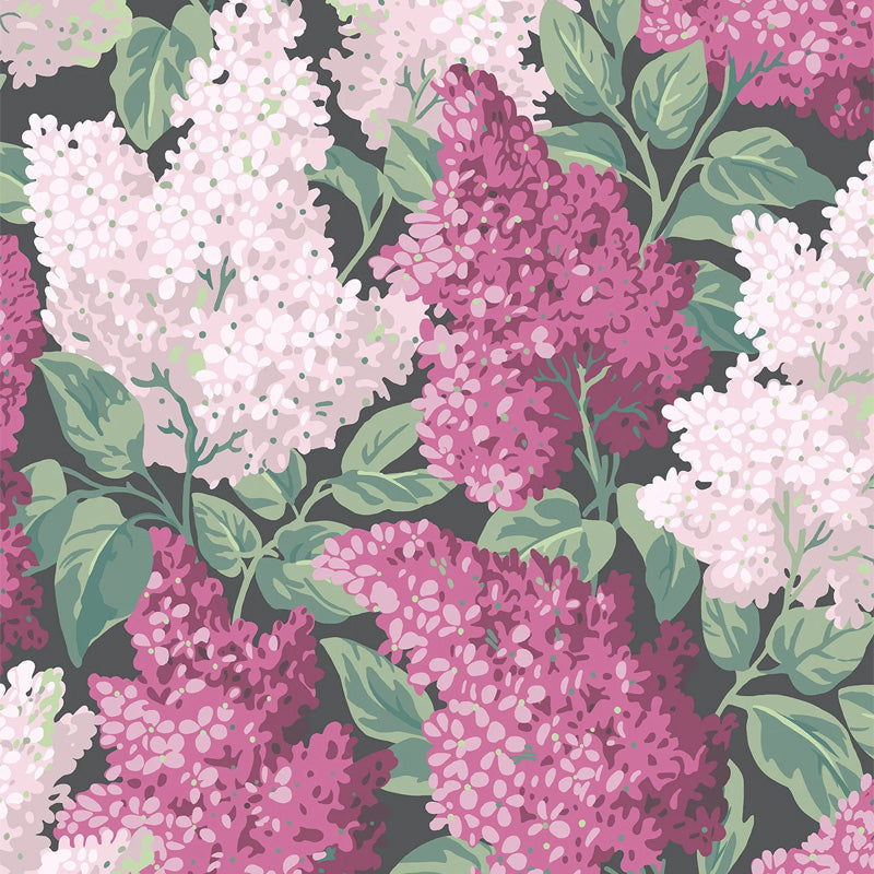 Carta da Parati "LILAC MAGENTA" Botanical | COLE & SON