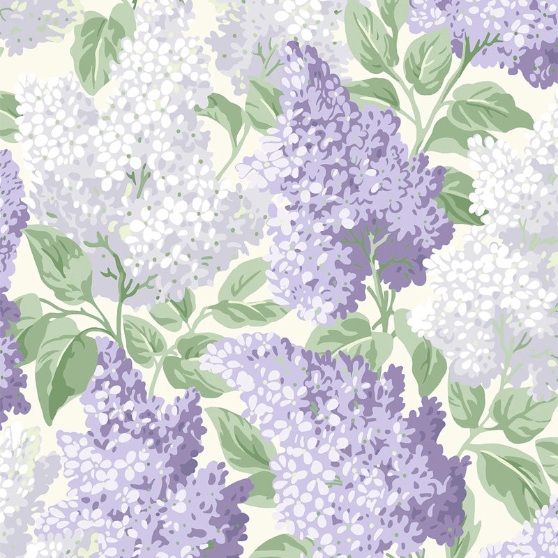 Carta da Parati "LILAC VIOLA" Botanical | COLE & SON