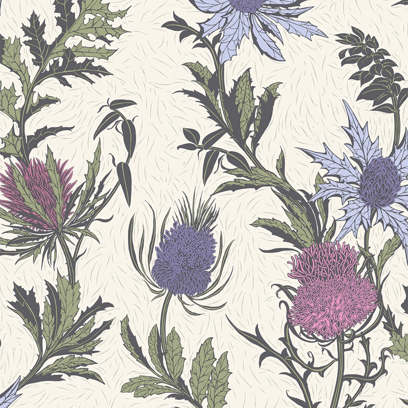 Carta da Parati "THISTLE VIOLA" Botanical | COLE & SON