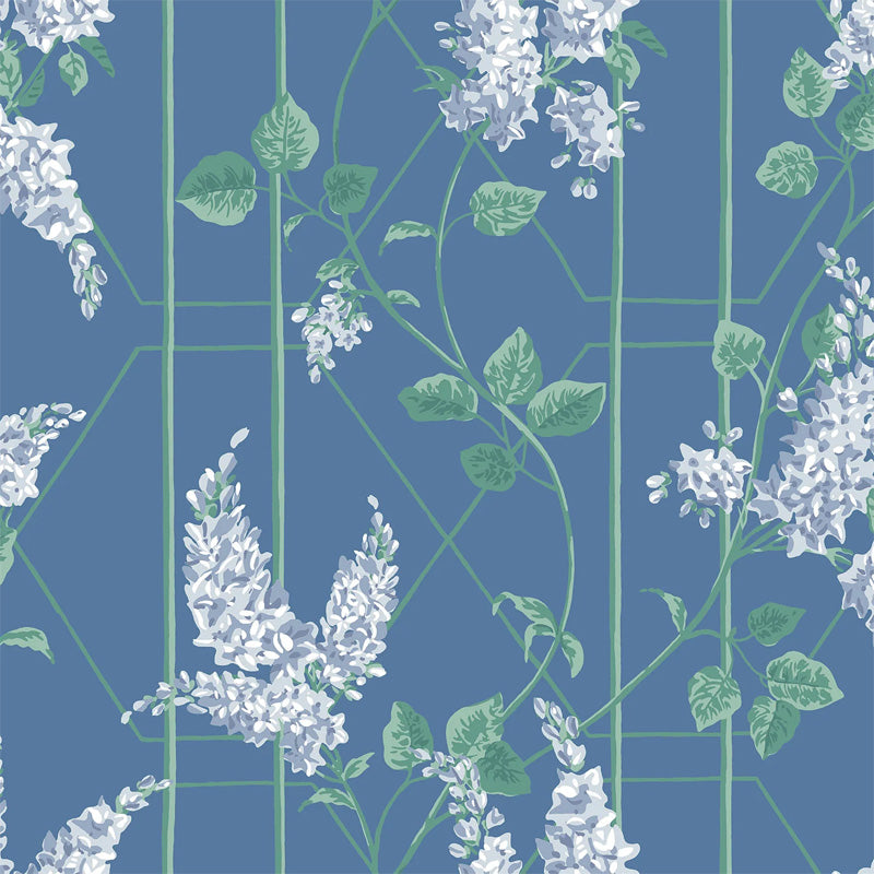 Carta da Parati "WISTERIA BLU" Botanical | COLE & SON
