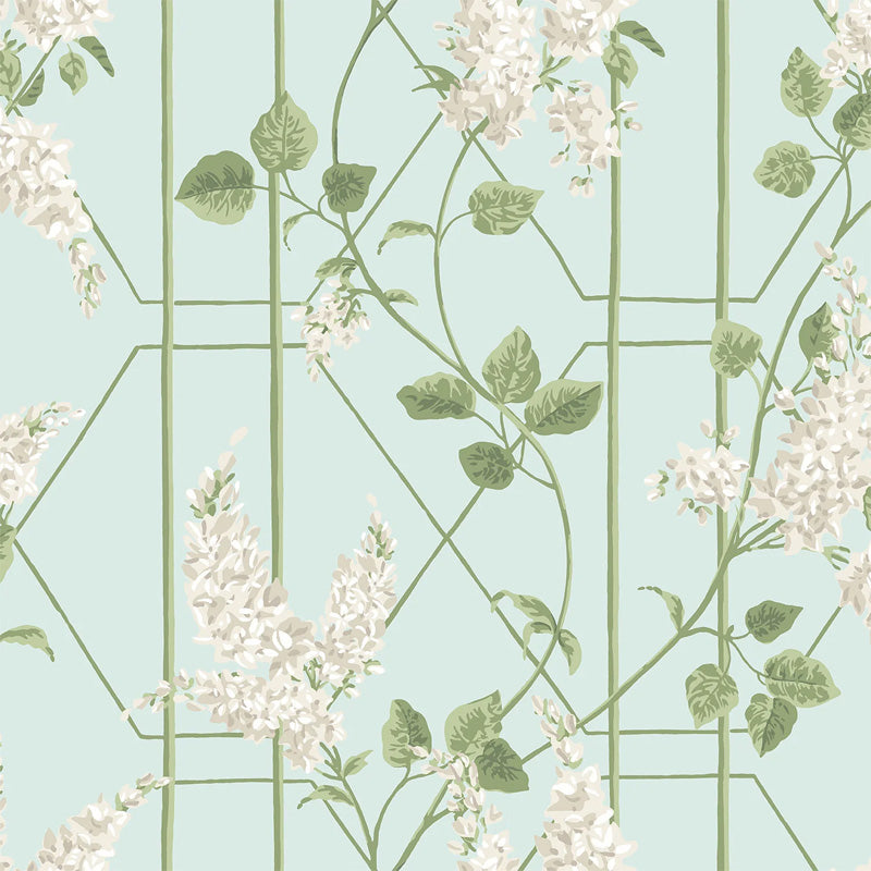 Carta da Parati "WISTERIA BIANCO" Botanical | COLE & SON