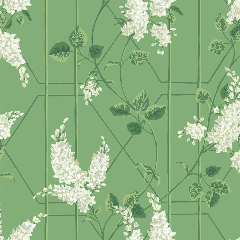 Carta da Parati "WISTERIA VERDE" Botanical | COLE & SON