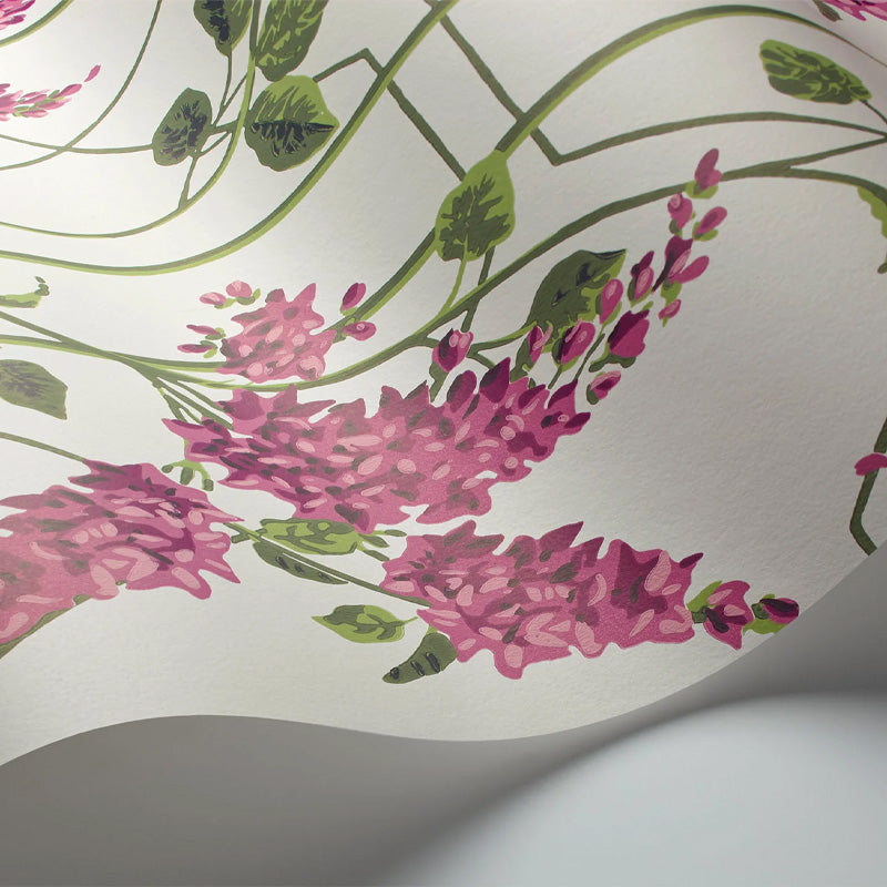 Carta da Parati "WISTERIA VIOLA" Botanical | COLE & SON