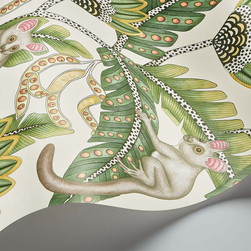 Carta da Parati "BUSH BABY BIANCO" Jabula-Ardmore | COLE & SON