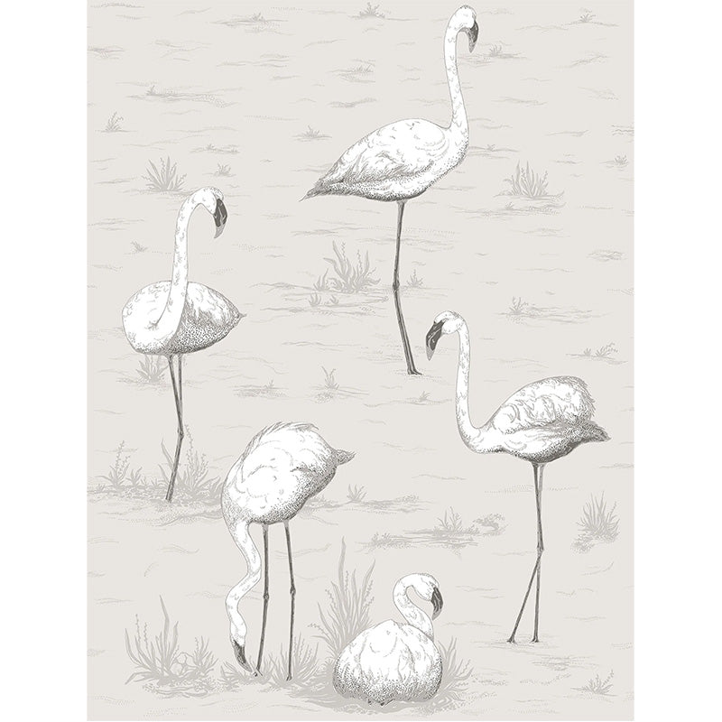 Carta da Parati "FLAMINGOS BIANCO & GRIGIO" The Contemporary | COLE & SON