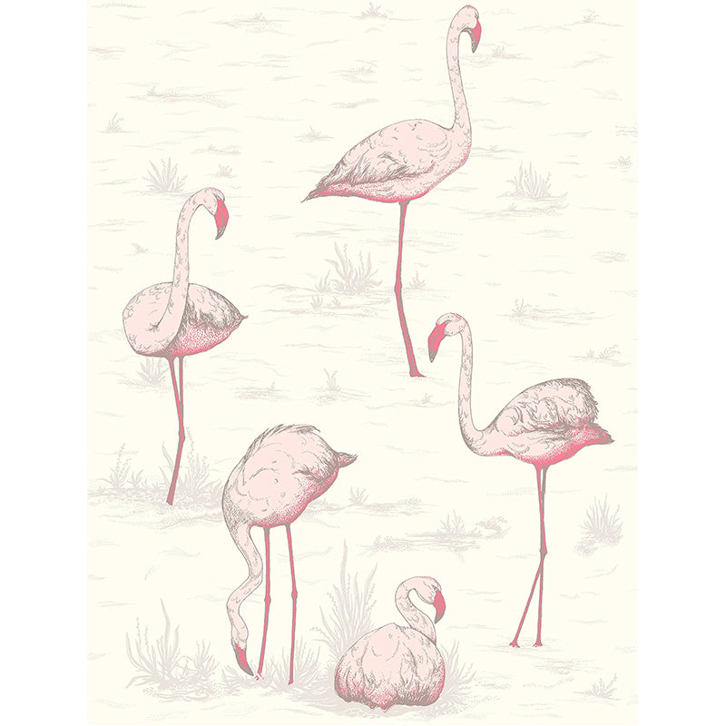 Carta da Parati "FLAMINGOS PANNA & ROSA" The Contemporary | COLE & SON
